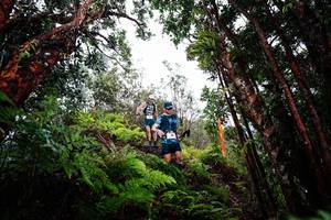 BIB: 
                            <button type="button" onclick="openModal(26202053)" class="btn btn-primary btn-sm float-right btn-popup" data-toggle="modal" data-target=".modal-high-quality">
                        <i class="fas fa-shopping-cart"></i> Add to Cart
                    </button>
                                            <button type="button" onclick="isThisMe(26202053, true)" class="btn btn-success btn-sm float-right btn-popup btn-isme hidden" data-toggle="tooltip" data-placement="bottom" title="นี่คือรูปของคุณใช่ไหม คลิกที่นี่เพื่อเอาเข้าอัลบั้ม">
                        <i class="fas fa-plus"></i> Add to album
                    </button>
                    <button type="button" onclick="isThisMe(26202053, false)" class="btn btn-warning btn-sm float-right btn-popup btn-isnotme hidden">
                        <i class="fas fa-ban"></i> Remove from album
                    </button>